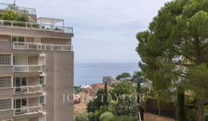 Sale Apartment Monaco