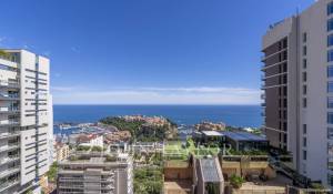 Sale Apartment Monaco