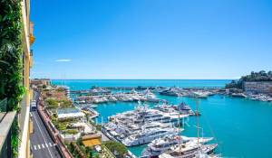 Sale Apartment Monaco