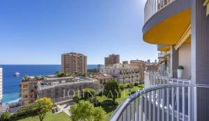Sale Apartment Monaco