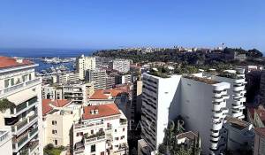 Sale Apartment Monaco