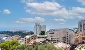 Sale Apartment Monaco