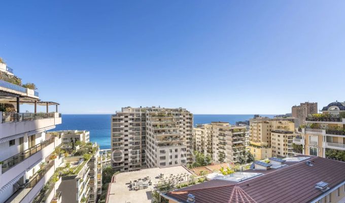 Sale Apartment Monaco