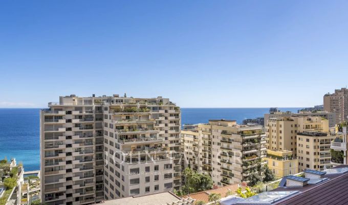 Sale Apartment Monaco