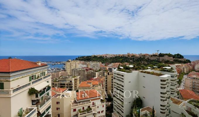 Sale Apartment Monaco