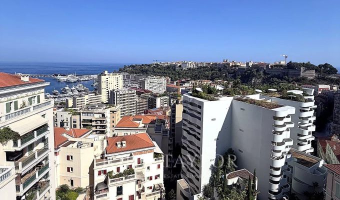 Sale Apartment Monaco