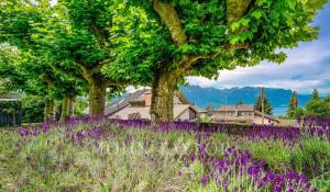 Sale Apartment Montreux