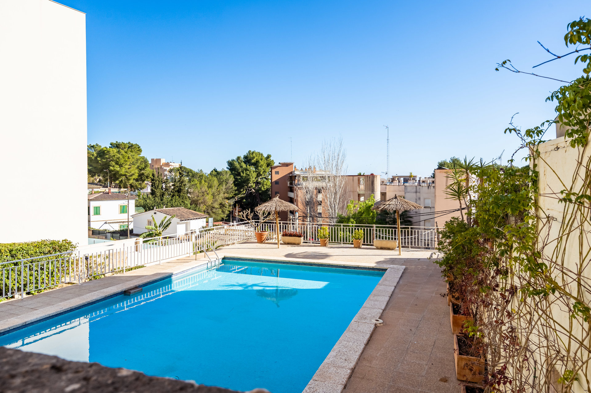 Ad Sale Apartment Palma de Mallorca San Agustin (07001) refV0604PM