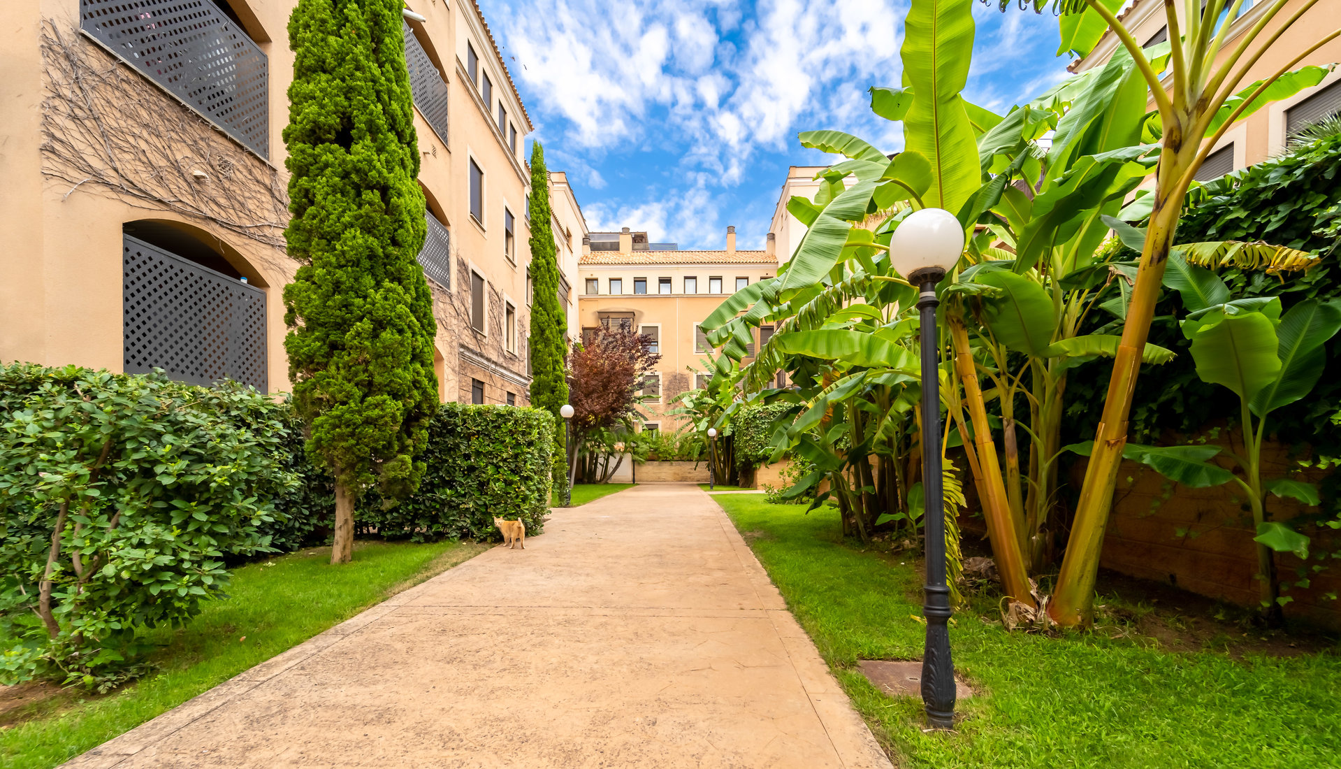 Ad Sale Apartment Palma de Mallorca Portixol (07001), 3 Rooms refV0664PM