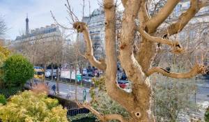 Sale Apartment Paris 16ème