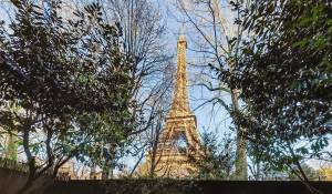 Sale Apartment Paris 7ème