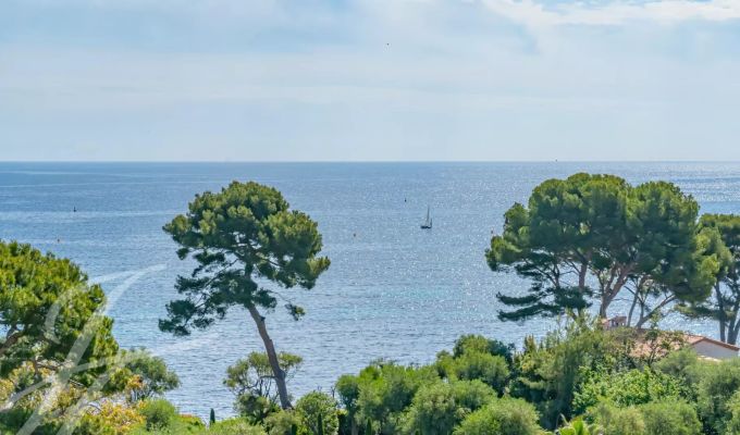 Sale Apartment Saint-Jean-Cap-Ferrat