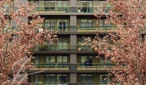 Sale Apartment Santo António