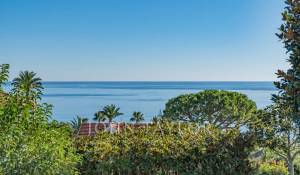 Sale Apartment Vallauris