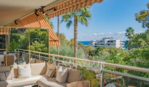 Sale Apartment Vallauris