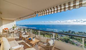 Sale Apartment Vallauris