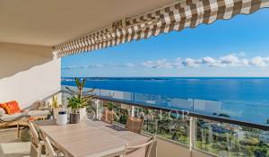 Sale Apartment Vallauris