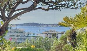 Sale Apartment Villeneuve-Loubet