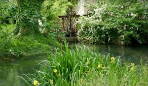 Sale Bastide L'Isle-sur-la-Sorgue