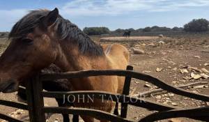 Sale Bed and breakfast Mahón