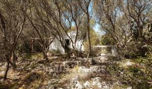 Sale Bed and breakfast Mahón