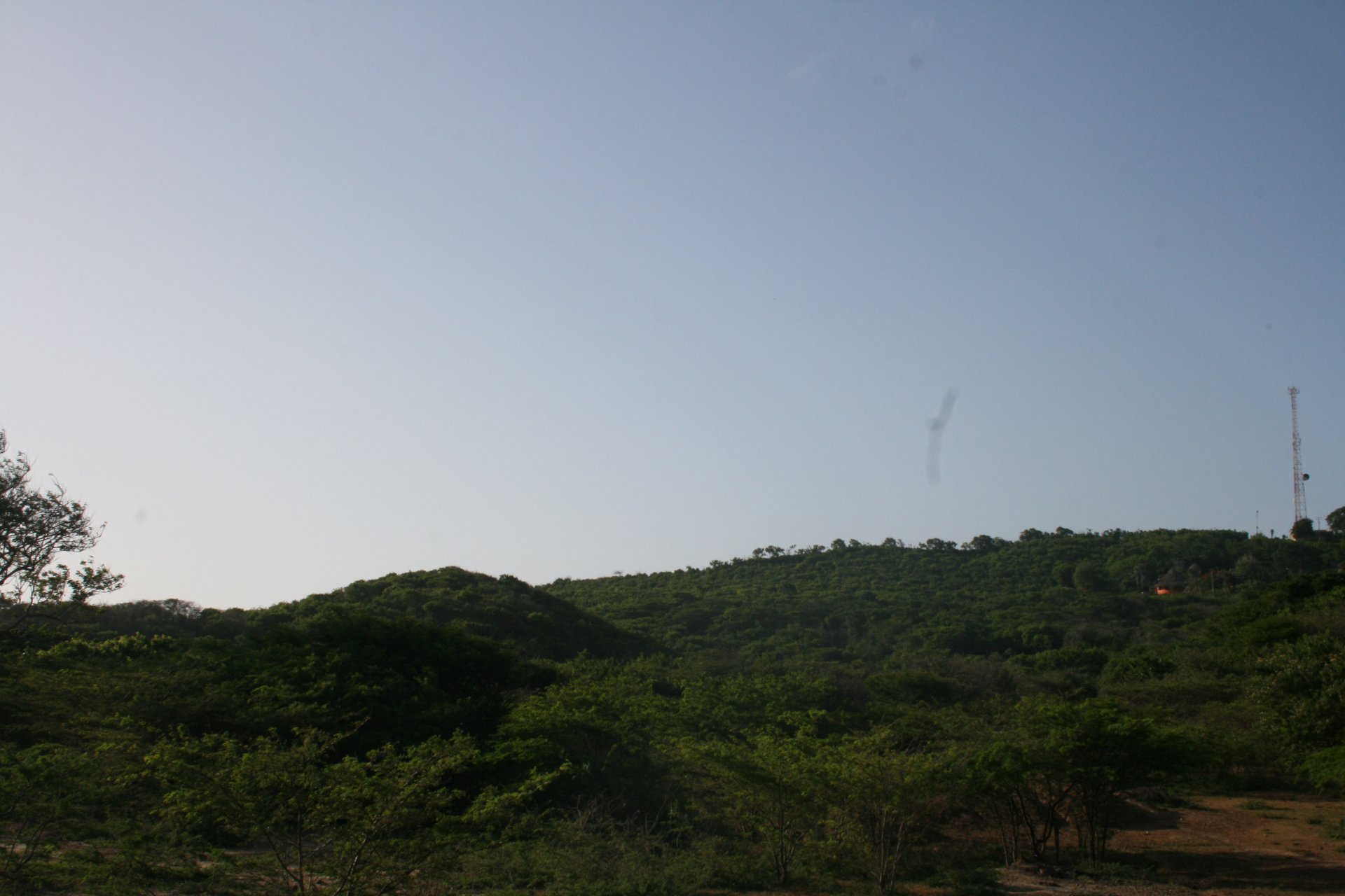 Ad Sale Building land Arroyo de Piedra (130007) refV0093CI