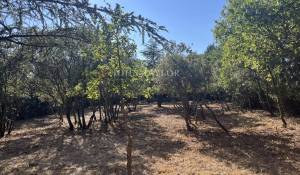 Sale Building land Cabrières-d'Avignon