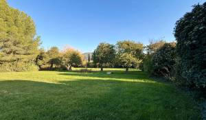 Sale Building land Cheval-Blanc