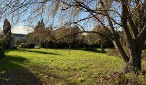 Sale Building land Cheval-Blanc