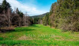 Sale Building land Les Paccots