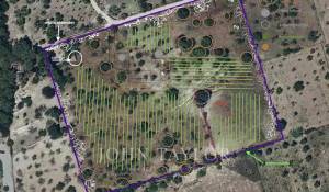 Sale Building land Moscari