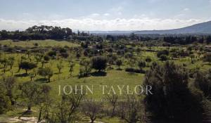 Sale Building land Moscari