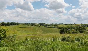 Sale Castle Bordeaux