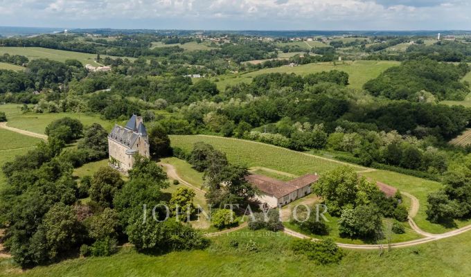 Sale Castle Bordeaux