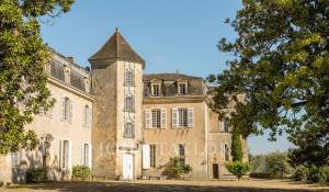 Sale Castle Langon