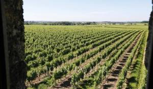 Sale Castle Saint-Émilion