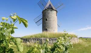 Sale Castle Saint-Émilion