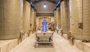 Sale Castle Saint-Émilion