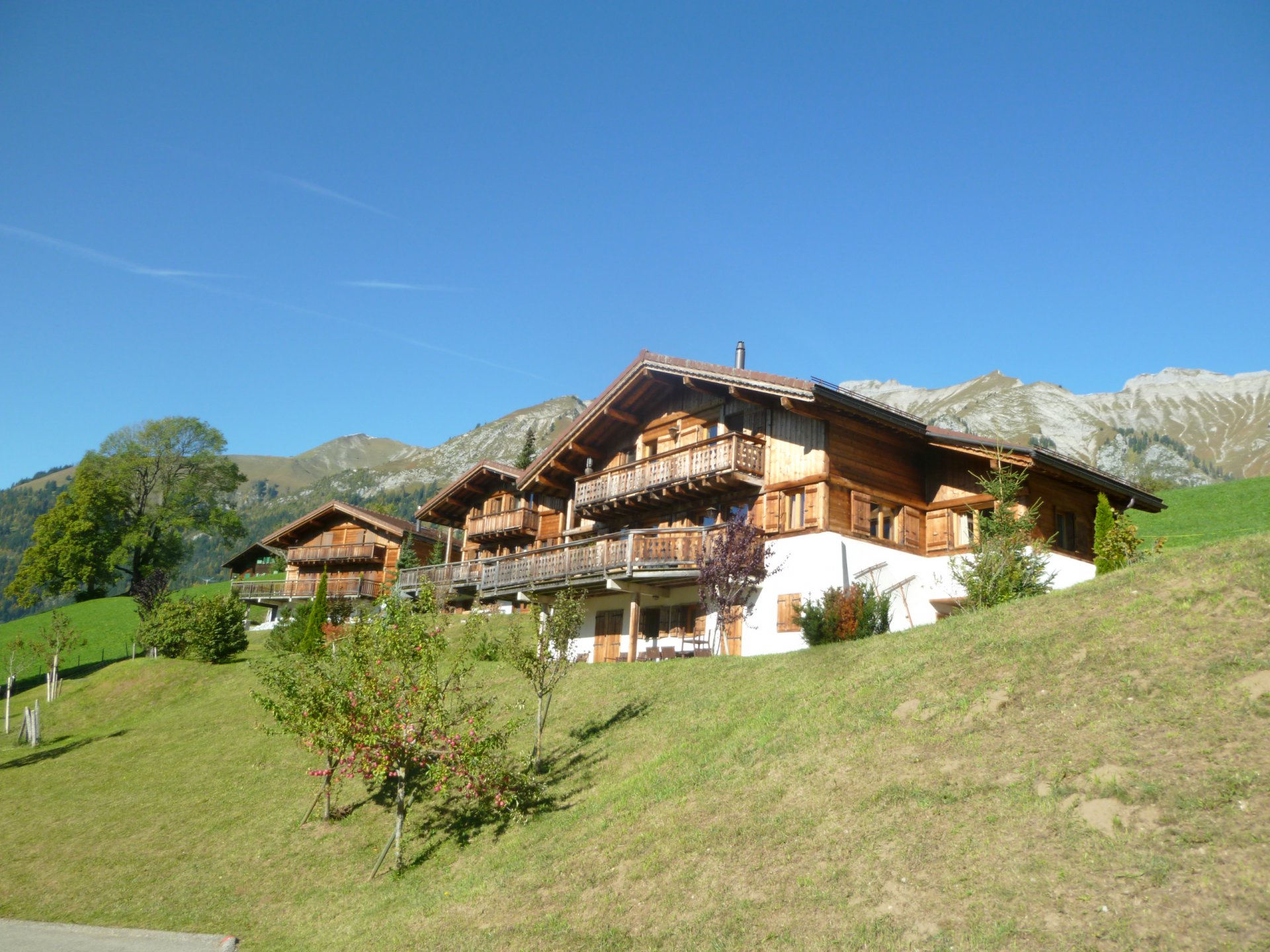Ad Sale Chalet Châteaud'Oex (1660) refV0377GS