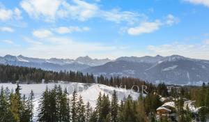 Sale Chalet Crans-Montana