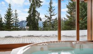 Sale Chalet Crans-Montana