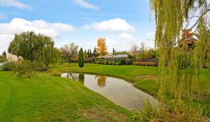 Sale Chalet Pozuelo de Alarcón