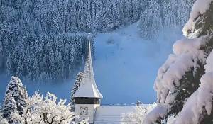 Sale Chalet Rougemont