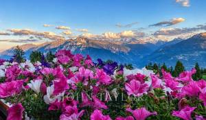 Sale Duplex Crans-Montana