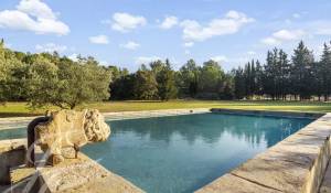 Sale Equestrian estate Barbentane