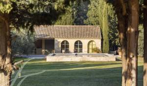 Sale Equestrian estate Barbentane