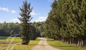 Sale Equestrian estate Barbentane