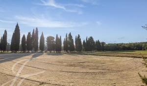 Sale Equestrian estate Barbentane