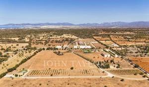 Sale Equestrian estate Llucmajor