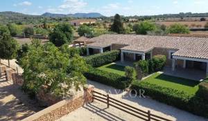 Sale Equestrian estate Llucmajor
